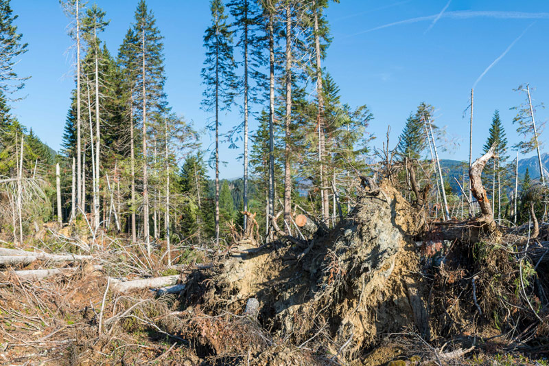 Resilienzzentrum Ostalbkreis | Vorsorgelücke